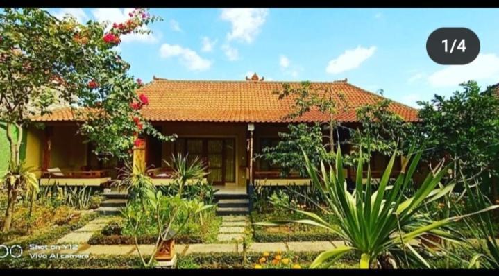 Pomelo Guest House Убуд Екстер'єр фото